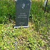Макин Александр Николаевич