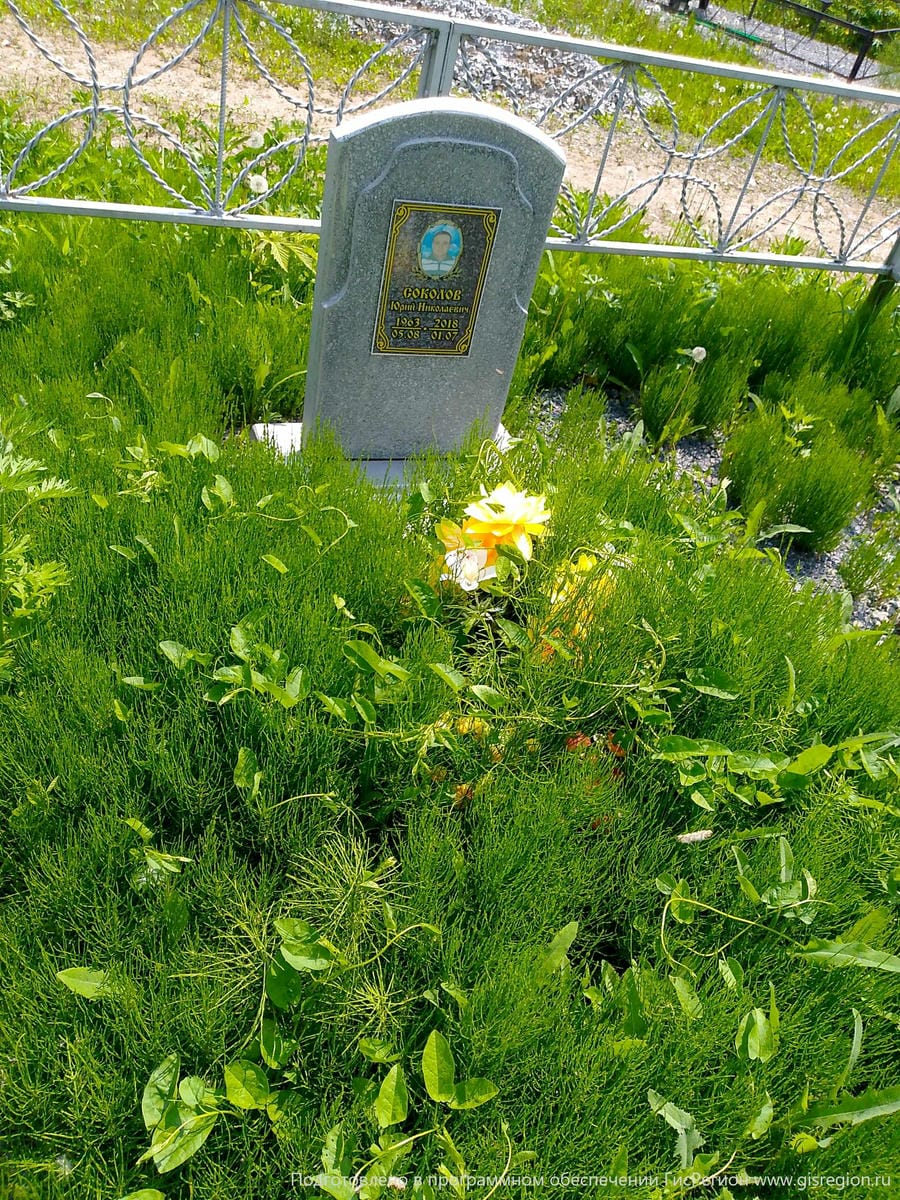 Соколов Юрий Николаевич