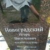 3a9ae886-50b0-455d-a9cb-cb643cdf9976 Новоградский Игорь Васильевич