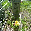 Дудкевич Борис Иванович