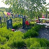 Косарева Матрена Дмитриевна