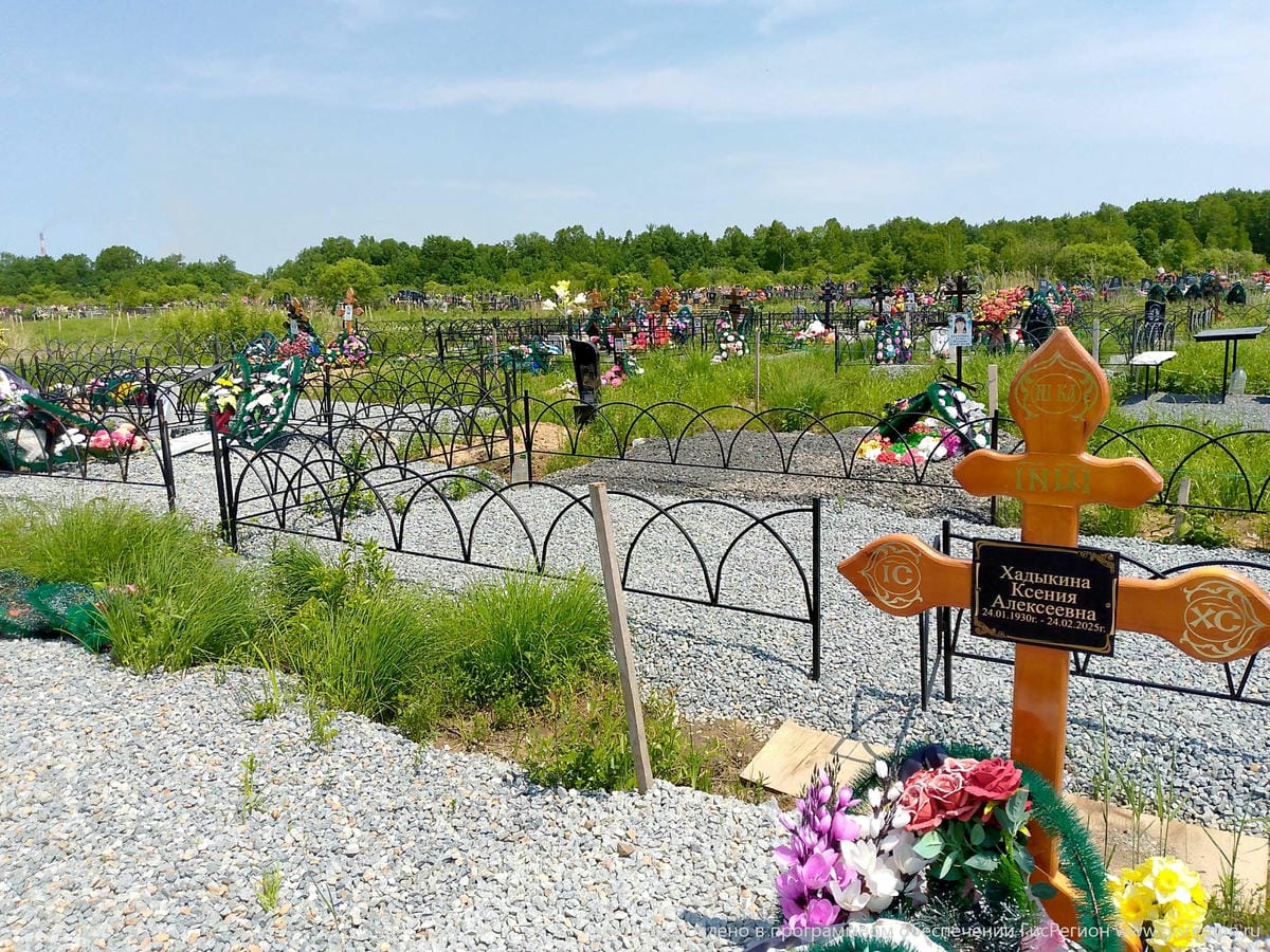 Хадыкина Ксения Алексеевна