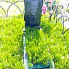 Кулешов Николай Анатольевич
