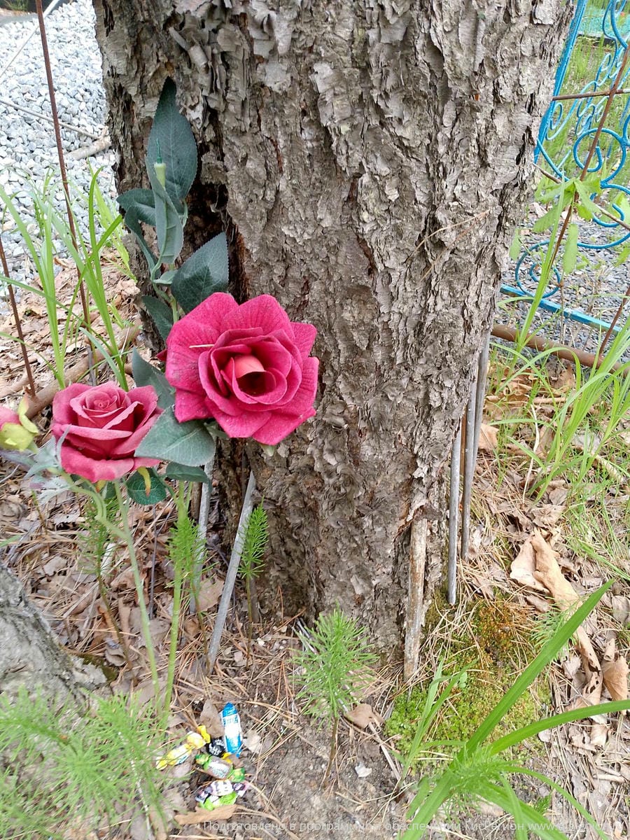 Неизвестно Неизвестно Неизвестно