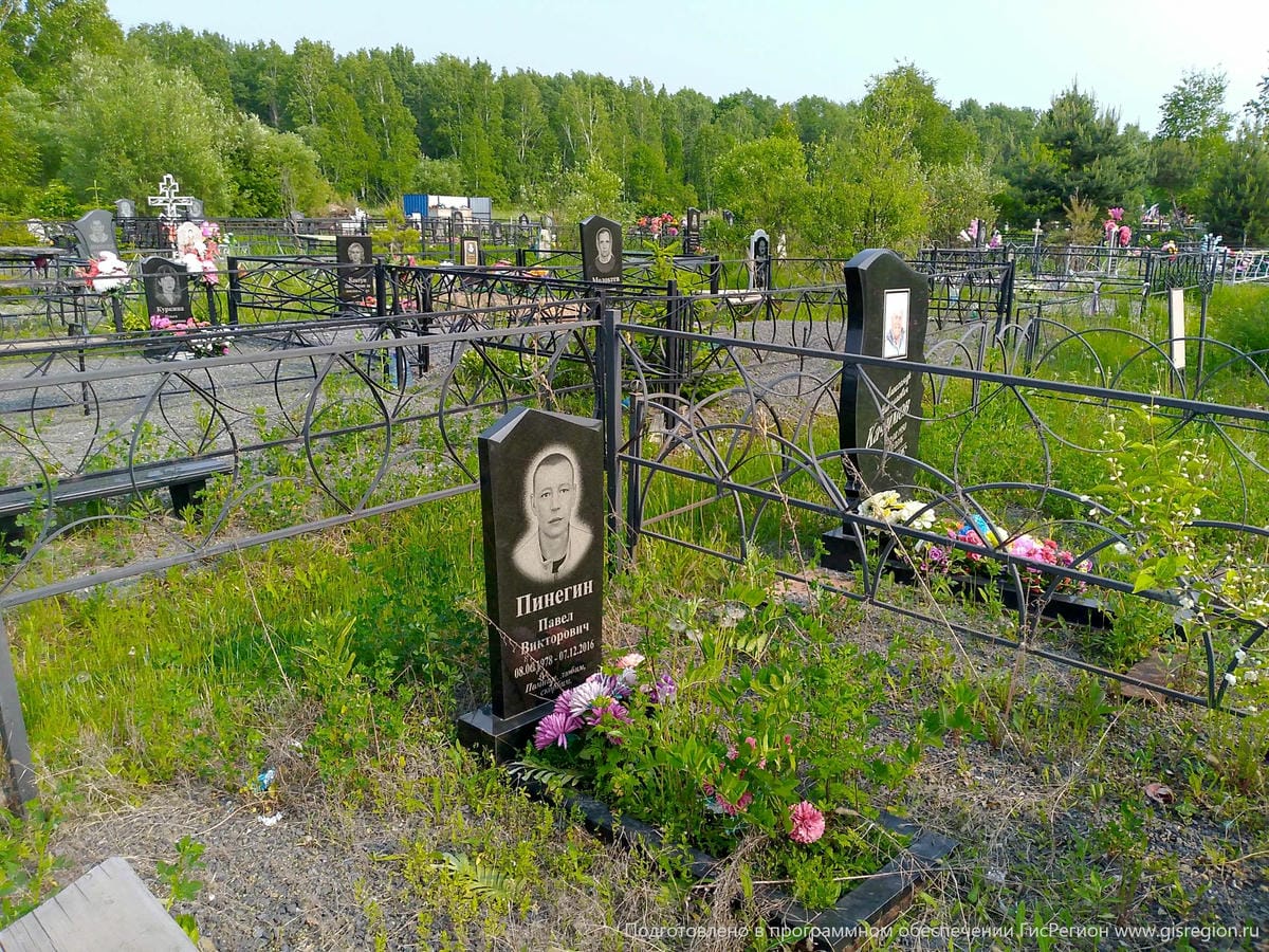 3d899614-0bfa-4b0b-a1aa-bdf058642901 Пинегин Павел Викторович