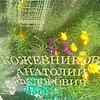 Кожевников Анатолий Фёдорович