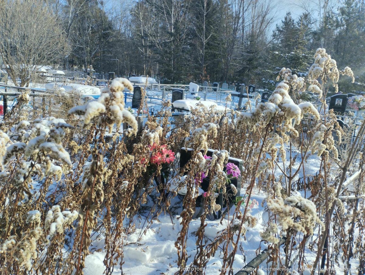 Потапова Людмила Викторовна