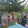 Медведев Андрей Михайлович