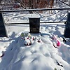 Гоман Михаил Алексеевич