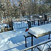 Шерстнева Людмила Александровна