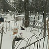 Сизов Филипп Викторович