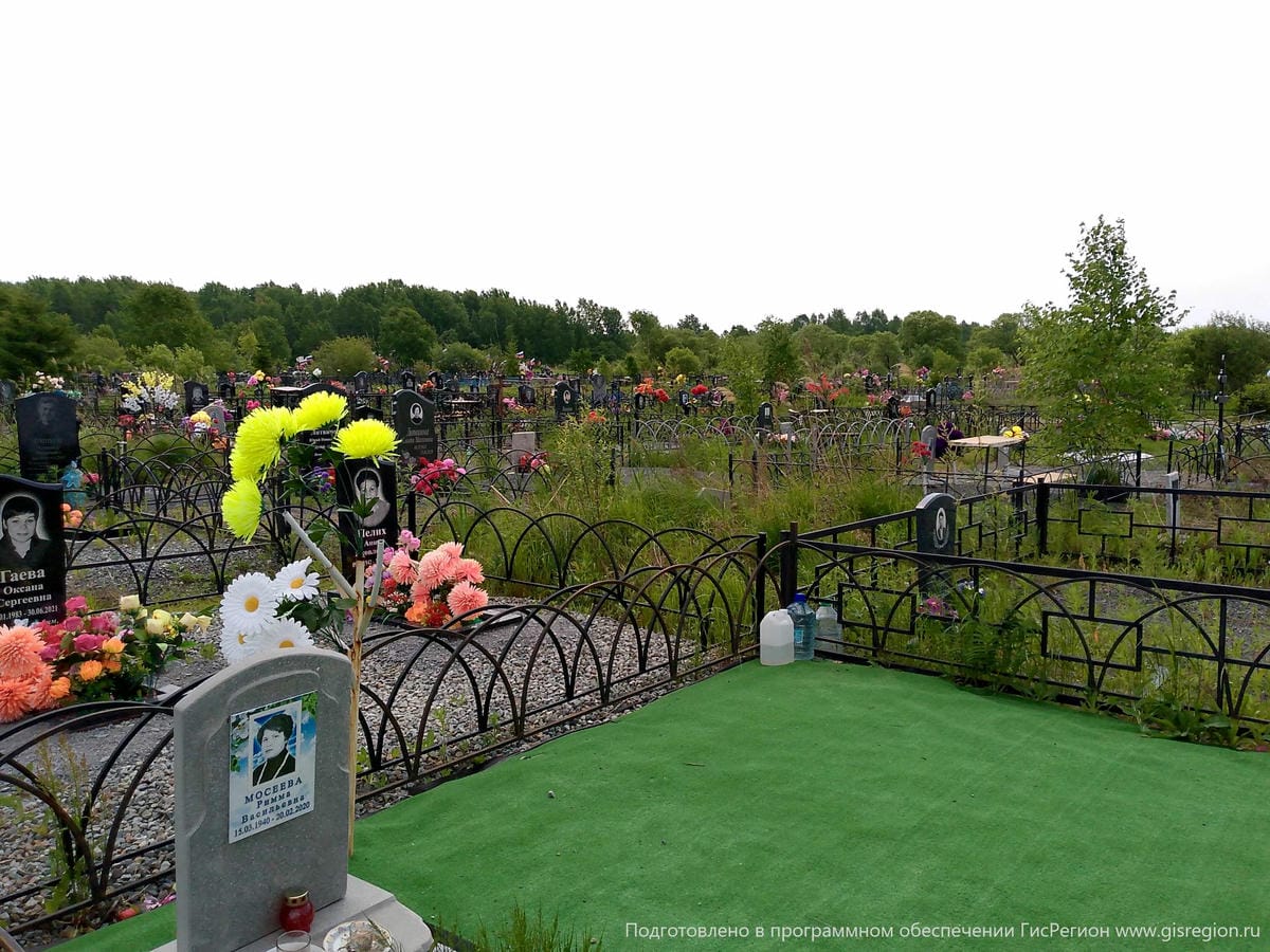 3f8b26be-91f0-4d22-a30f-ace01b118208 Мосеева Римма Васильевна