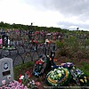 Долганова Людмила Николаевна