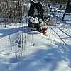 Татаринцева Людмила Анатольевна