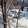 Колотущенко Фёдор Николаевич