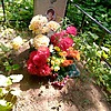 Магула Надежда Алексеевна