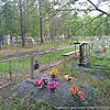 Шевякова Татьяна Александровна