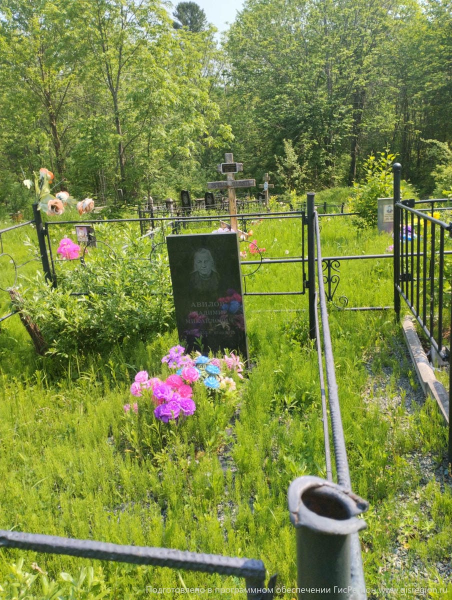 Авилович Владимир Михайлович