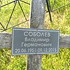 Соболев Владимир Германович