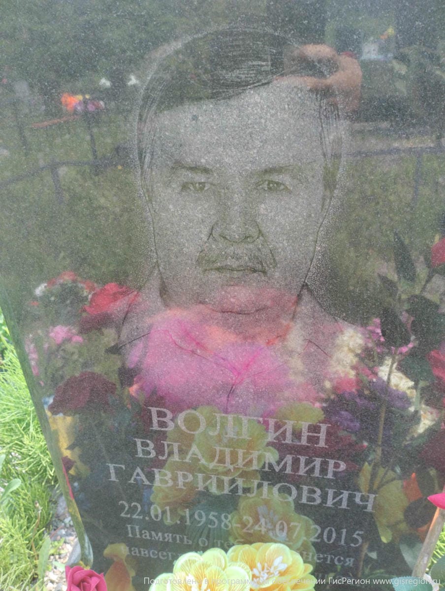 Волгин Владимир Гавриилович