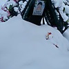 Фащук Юлия Викторовна