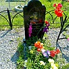 Конюшко Эльмира Вагифовна