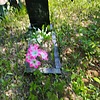 Кладко Виктория Валентиновна