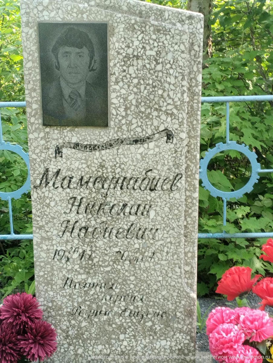 Мамеднабиев Николай Набиевич