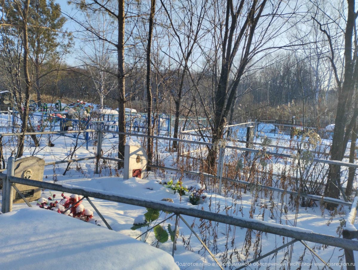 45e107a4-c135-42ae-9318-a747dca7018e Лежнев Александр Васильевич