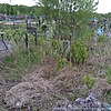 Донов Владимир Анатольевич