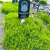 Краснянская Галина Петровна