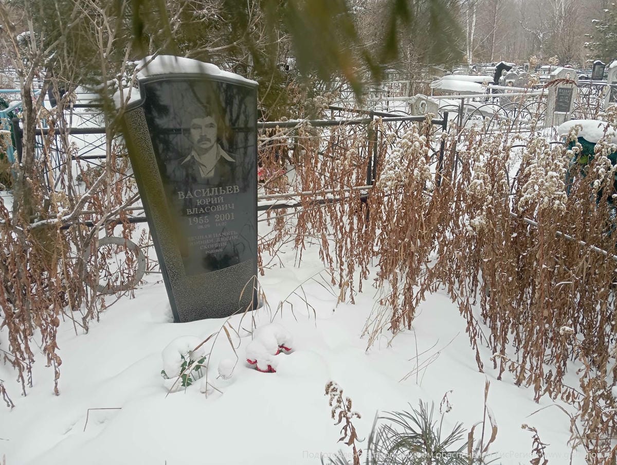 Васильев Юрий Власович