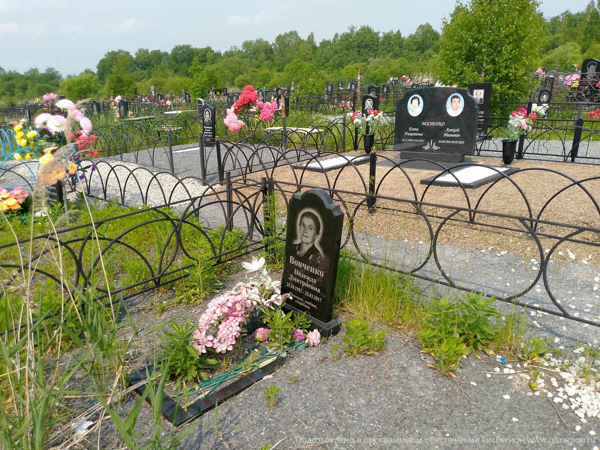 46d04679-b951-448d-8b0a-03690cce6214 Вовченко Надежда Дмитриевна