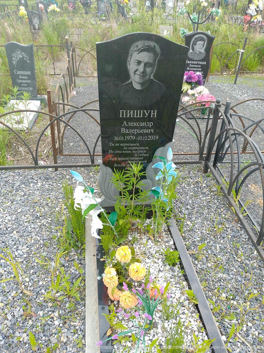 46d6ecd6-4ab9-47b7-ad7c-8df9d0c189e3 Пишун Александр Валерьевич