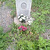 Михайлюк Алексей Александрович