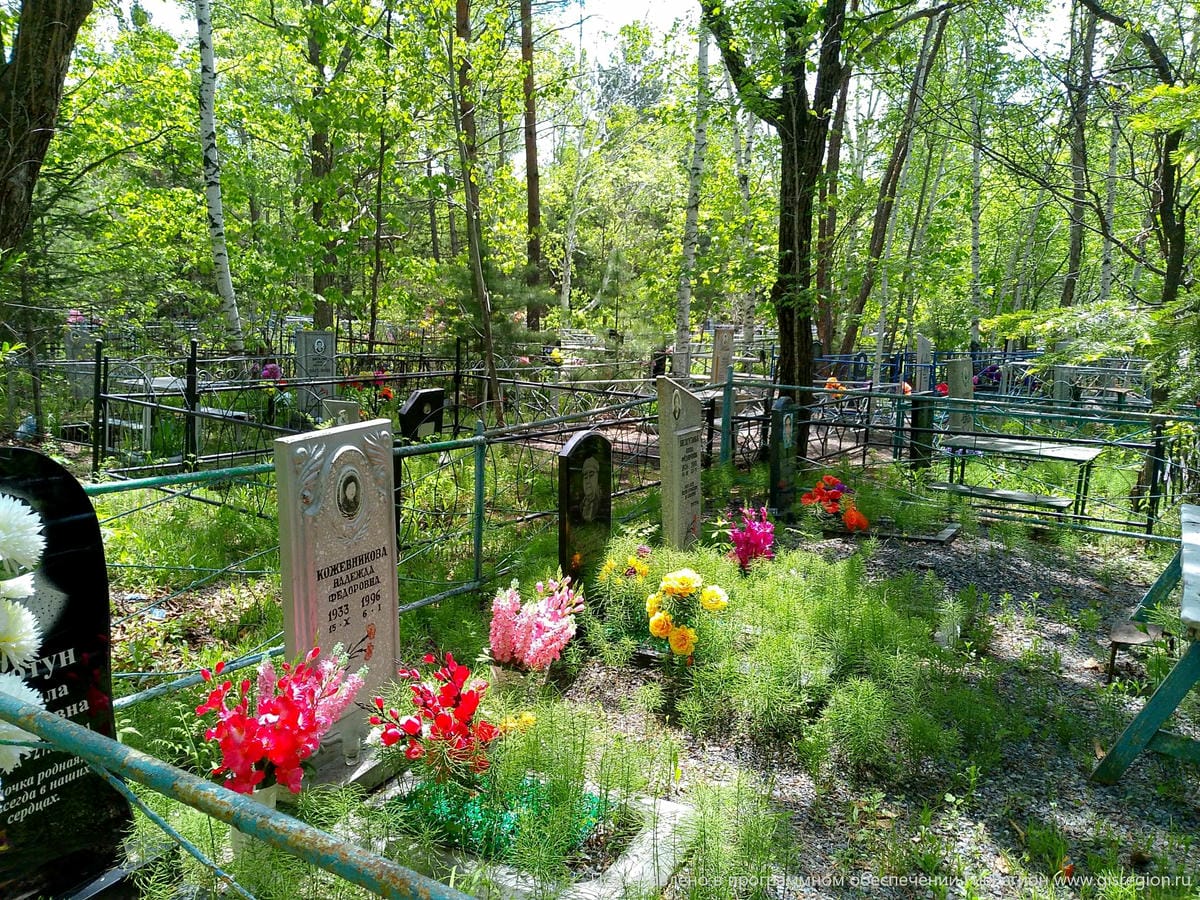 478146ee-8b42-4985-a9a7-907843f5ac34 Кожевников Валерий Анатольевич