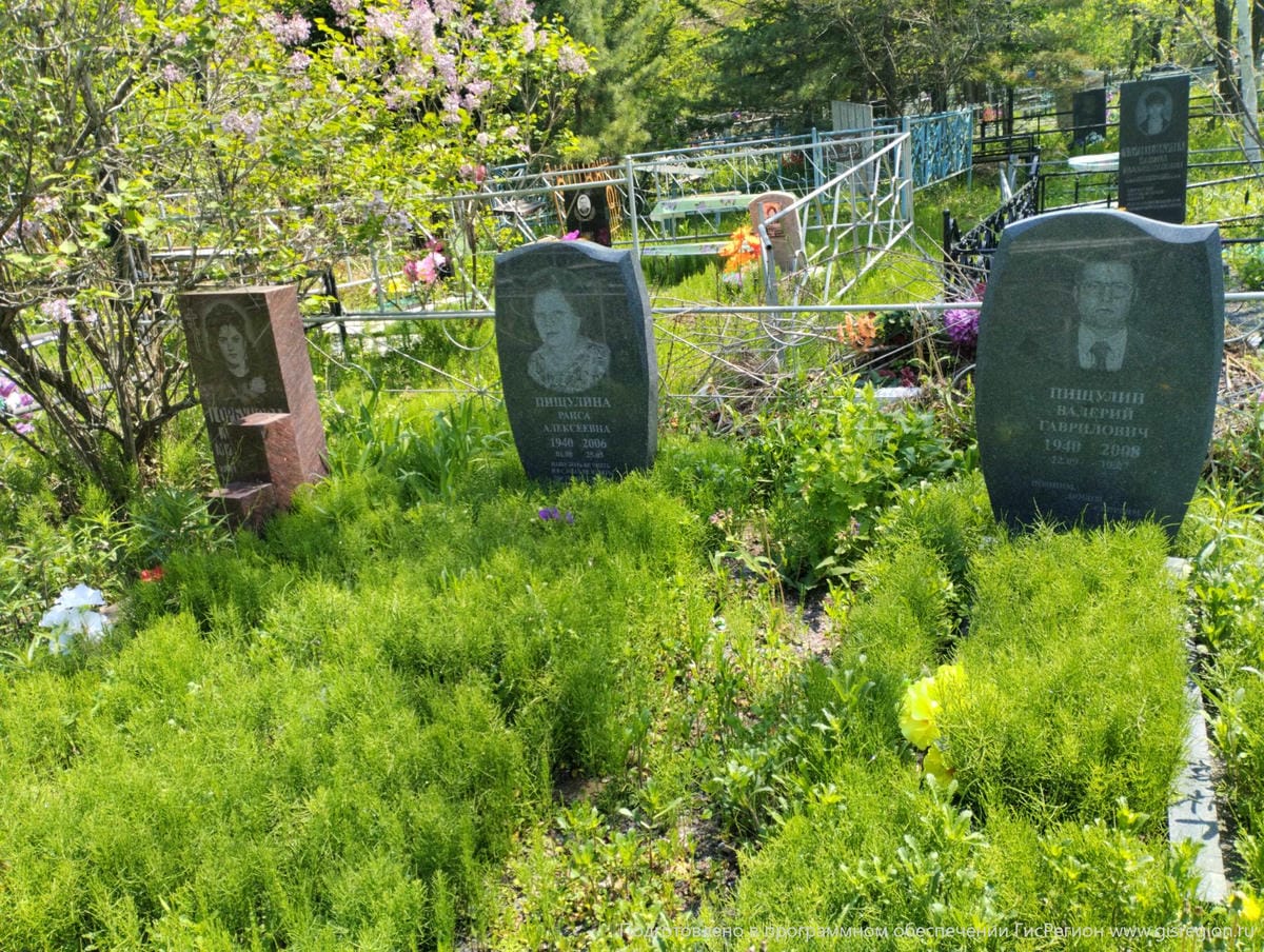 479af328-9c3a-4ed1-b9d8-d01d44e8a552 Пищулин Валерий Гаврилович