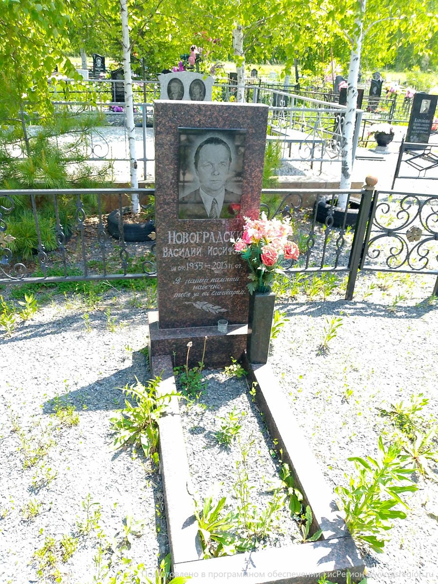 47afbf7f-7559-4994-92e5-cfaf273d77a8 Новоградский Василий Иосифович