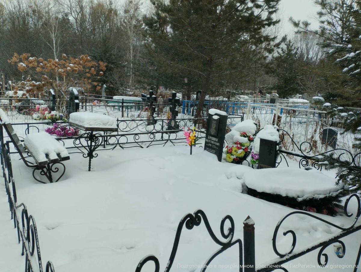 Курашвили Виктор Григорьевич