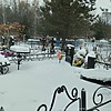 Курашвили Ольга Васильевна