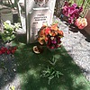 Очкал Анастасия Павловна