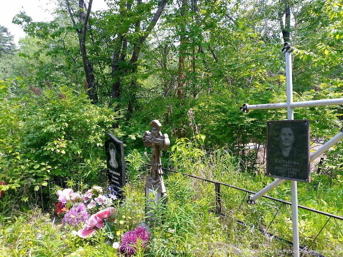 48e4ee80-1af7-407e-8180-c19955d1085c Батраков Николай Алексеевич