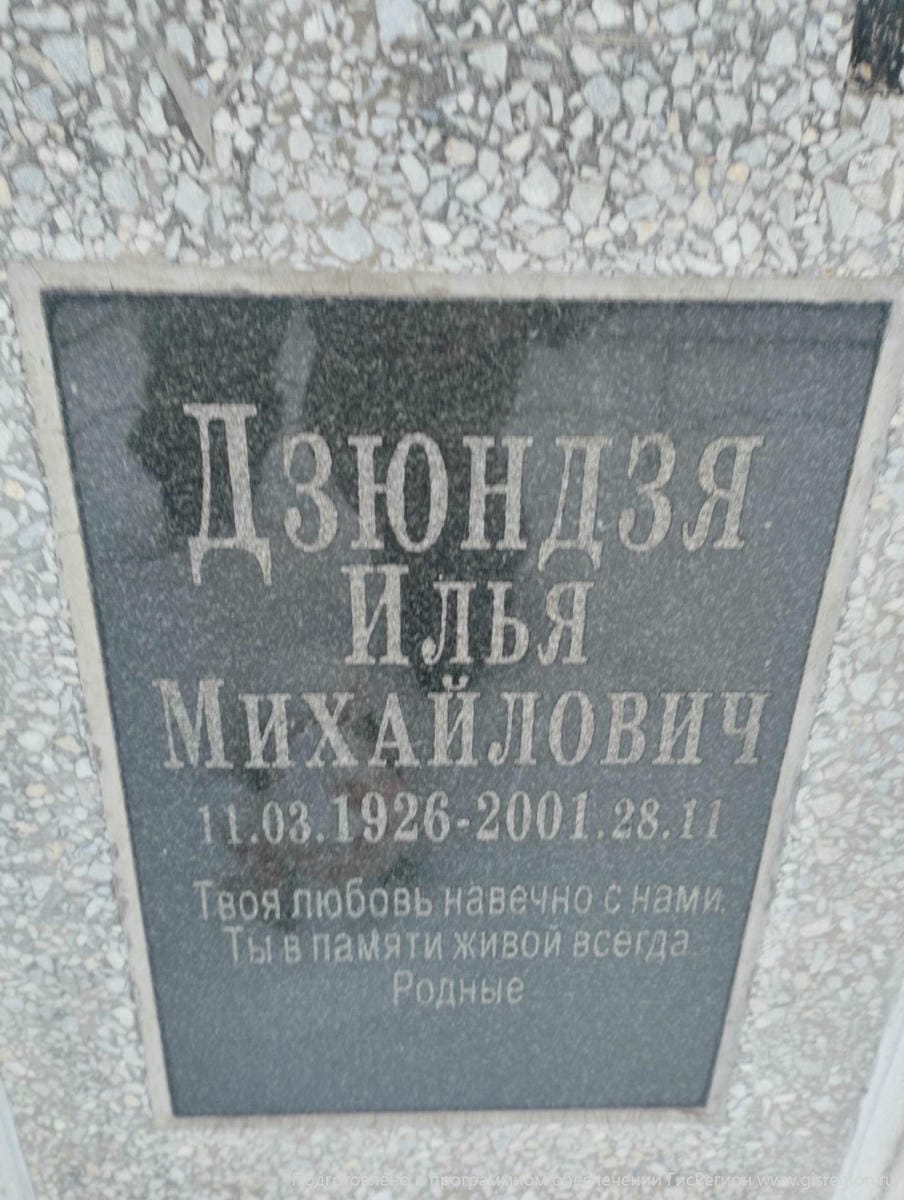 Дзюндзя Илья Михайлович