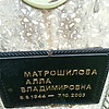 Матрошилова Алла Владимировна