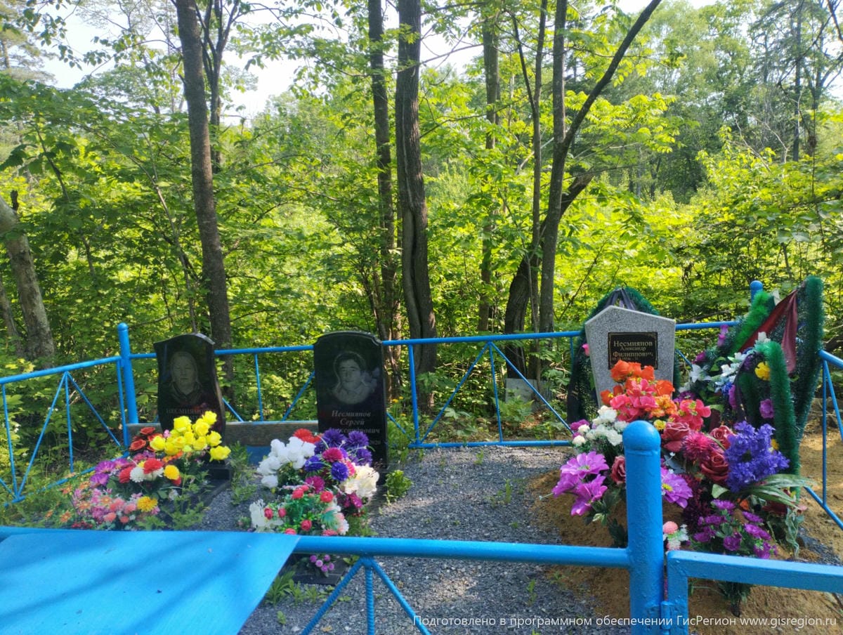 Несмиянов Александр Филиппович