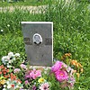Лескова Зоя Алексеевна