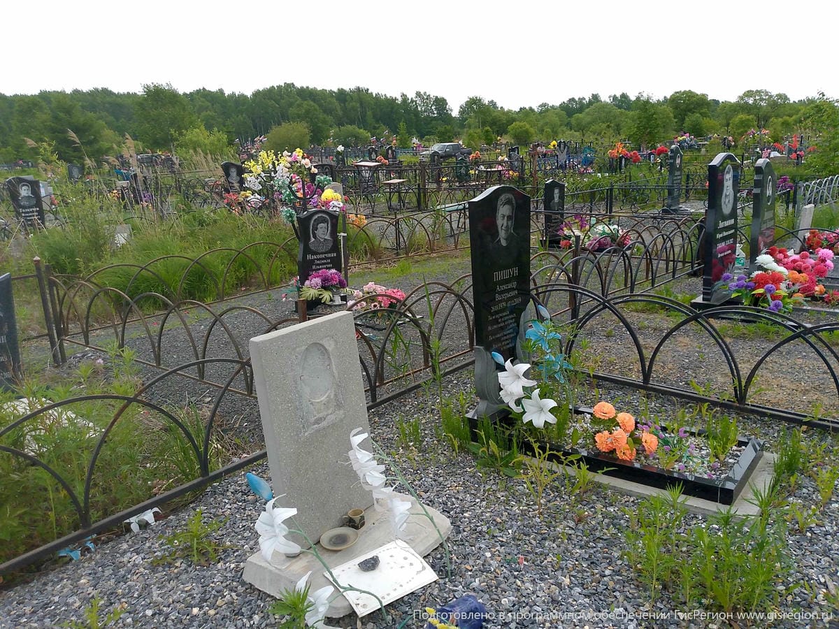 4d86d1fc-0391-4ec9-aa7c-564233d1232e Пишун Александр Валерьевич