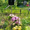 Батракова Анна Николаевна