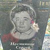 Несмиянов Сергей Александрович