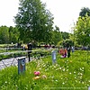 Утюжникова Екатерина Михайловна